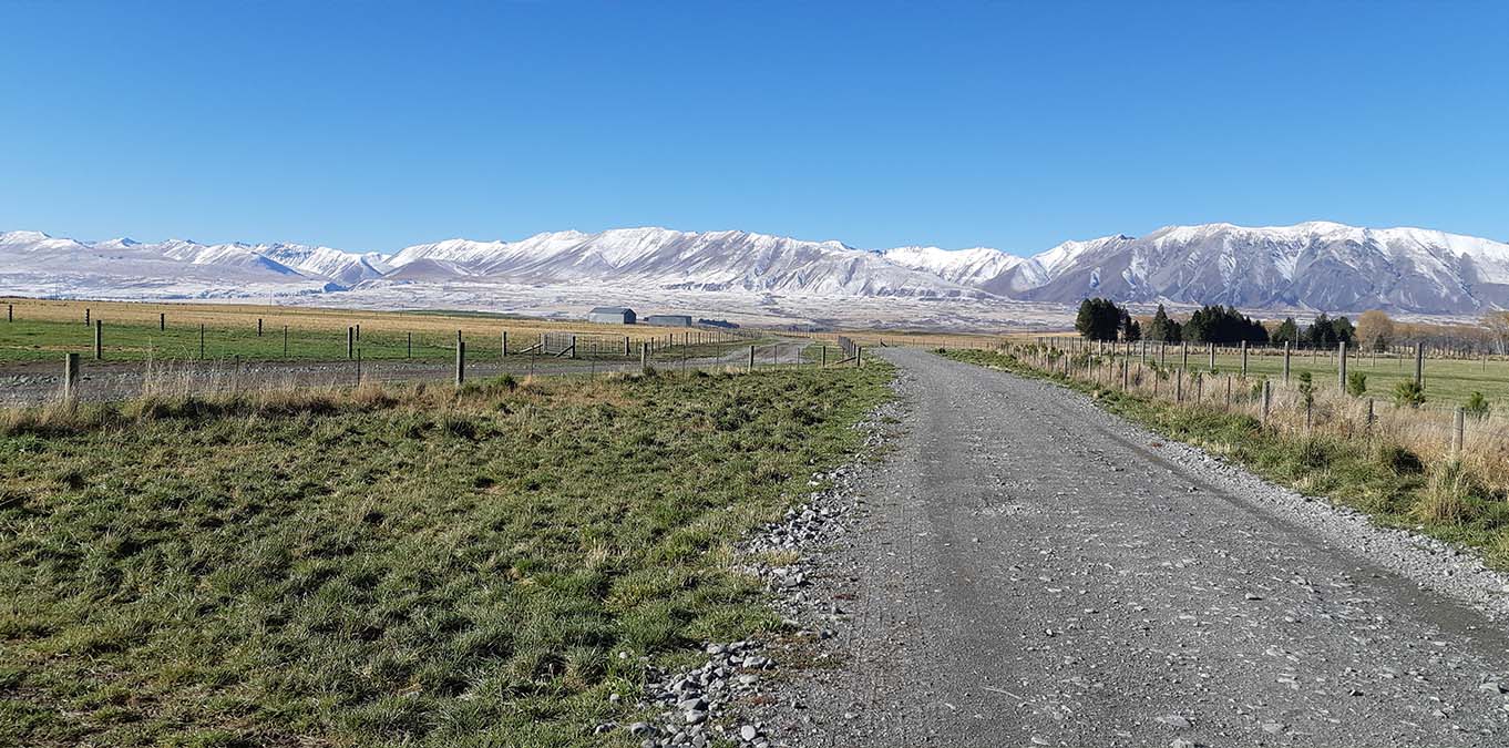 AI farm — Genetic Gains in Wanaka, New Zealand