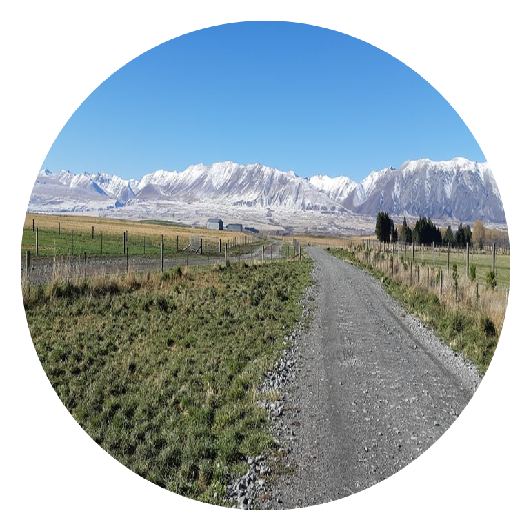 Genetic Gains — Genetic Gains in Wanaka, New Zealand